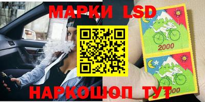 гашик Донецк