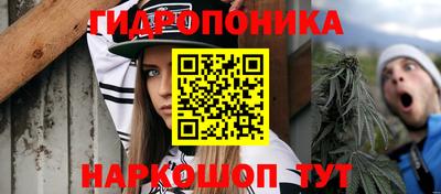 гашик Донецк