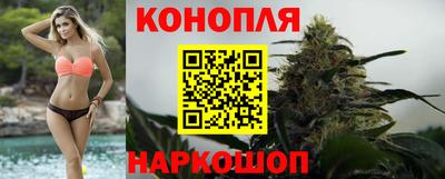 гашик Донецк