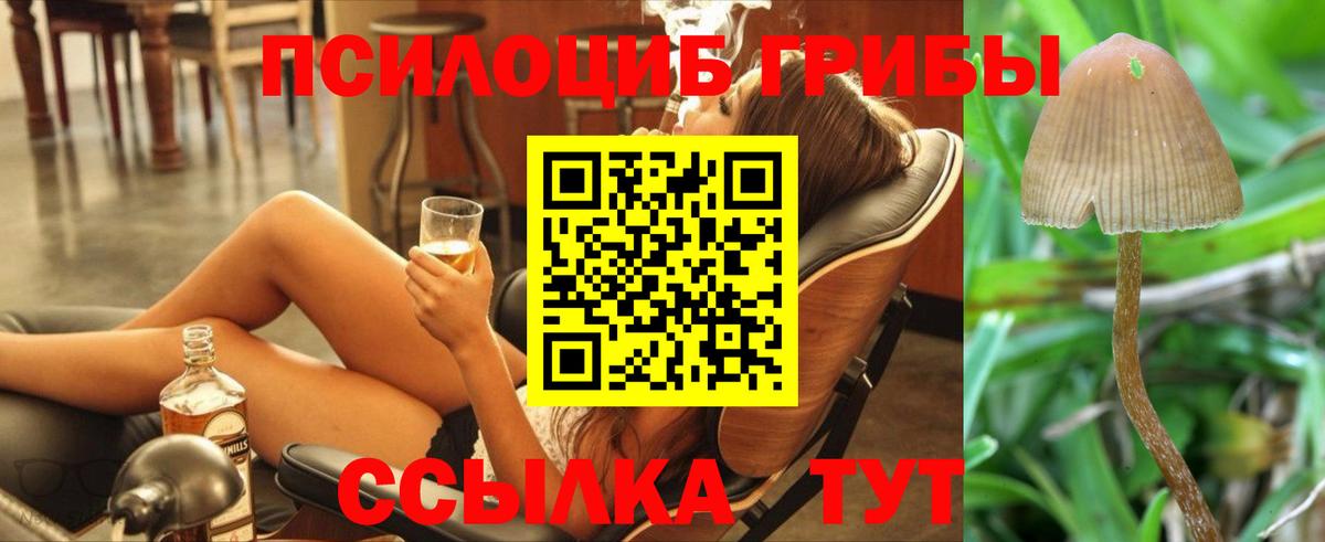 Псилоцибиновые грибы мухоморы  Галлюциногенные грибы ЛСД  Морозовск  где купить наркоту  Вход с VPN 